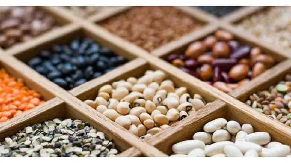 3 ریز مغذی مفید در حبوبات را در سبد غذایی تان قرار دهید