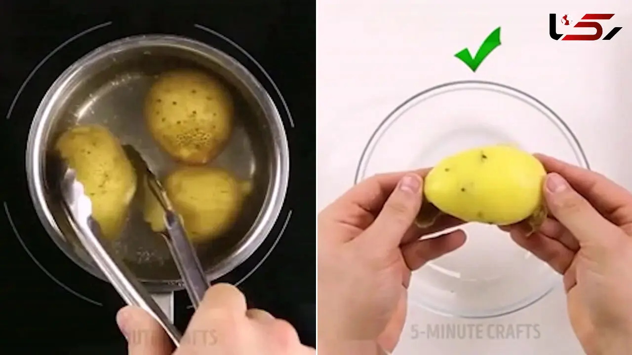 ببینید / پوست کندن مواد غذایی با این روش ها دیگر سخت نیست!