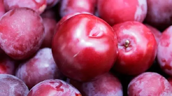 حفظ کردن رنگ طبیعی موها با این خوراکی پر خاصیت/مانع ریزش مو می شود