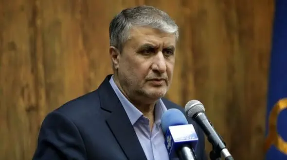 اسلامی : فشارهای شورای حکام برای امتیازگیری از ایران است