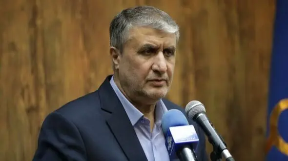 اسلامی: ایران اقدامات حقوقی در ارتباط با بی‌عملی‌های گروسی را پیگیری می‌کند