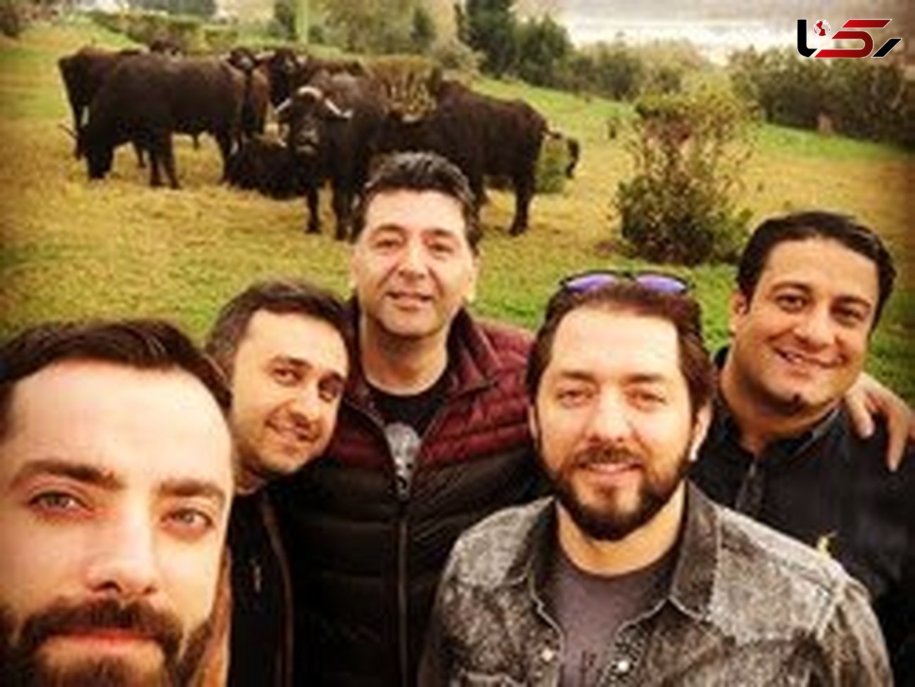 عکس سلفی بهرام رادان با گاوها در اهواز جنجال عجیبی به پا کرد+ عکس