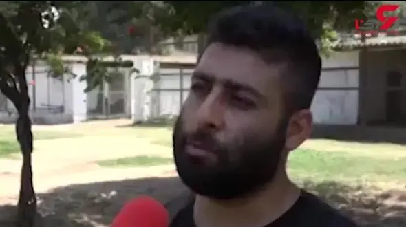 شیرهای 5 قلو به دنیا آمدند / در بابلسر رخ داد + فیلم