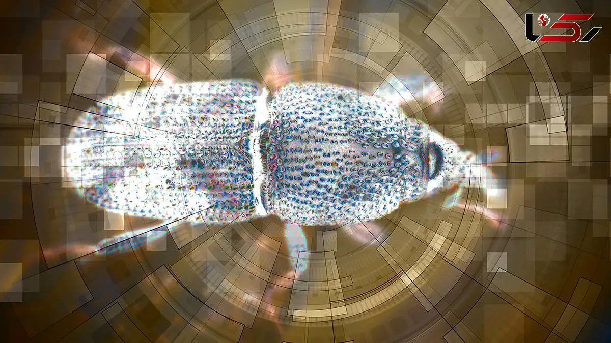 استفاده از هوش مصنوعی برای کنترل آفات در تولید غلات