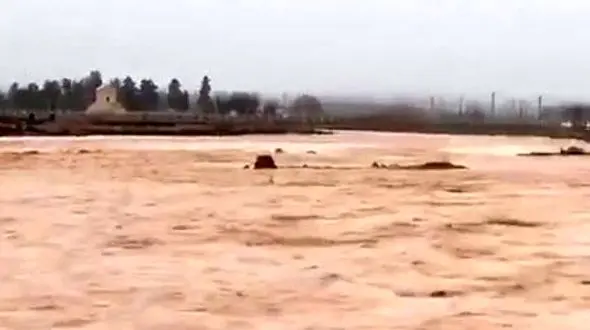  آخرین آمار از تعداد قربانیان سیل در کشور 