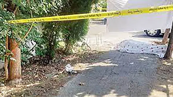 راز قتل وحشتناک حمید زیر شکوفه های بهاری / بازپرس قتل تهران چه دستوری داد؟