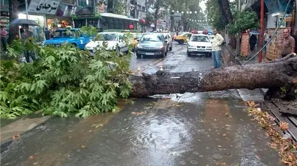 طوفان شدید دیشب به‌ خیر گذشت / قطعی پراکنده برق در سه استان شمالی