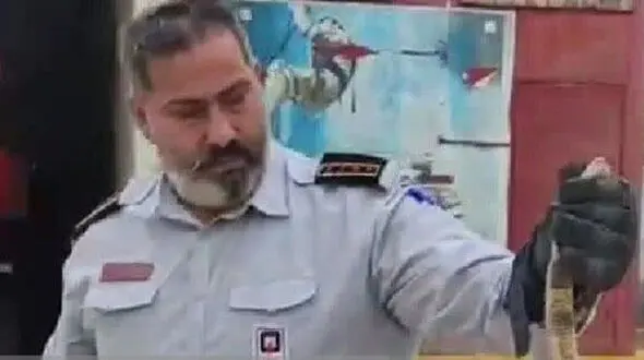 وحشت گرگانی ها از مار سمی/ او هنوز زنده است 