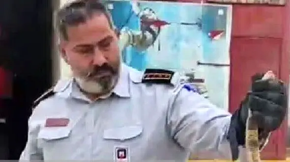 وحشت گرگانی ها از مار سمی/ او هنوز زنده است 