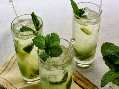 طرز تهیه شربت نعناع خانگی و خوش‌ طعم؛ رازهای یک نوشیدنی خنک و خوشمزه