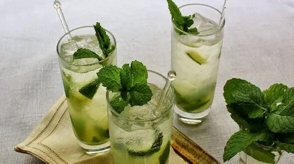 طرز تهیه شربت نعناع خانگی و خوش‌ طعم؛ رازهای یک نوشیدنی خنک و خوشمزه