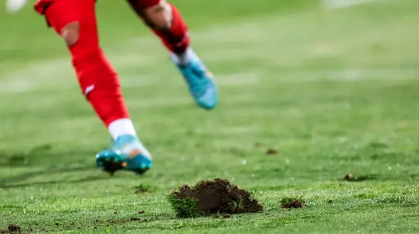 زمین چمنی که همچنان قربانی می گیرد/ تمام تلفات پرسپولیس در آزادی!