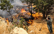 آتش سوزی در جنگل‌های ارتفاعات منطقه حفاظت شده خامی گچساران