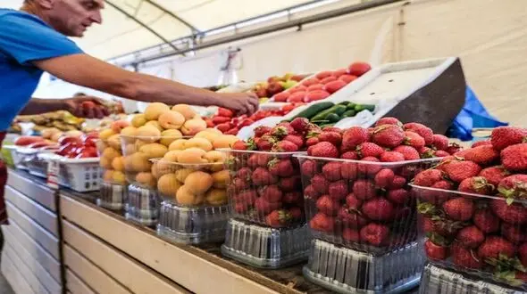 یک ادعای جنجالی؛ شکل میوه‌ ها میزان نیترات را نشان می‌ دهد؟