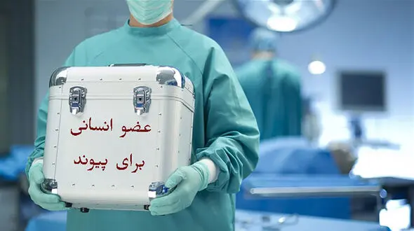 در ایران فقیر و غنی به یک اندازه از امکان پیوند برخوردار هستند/ تامین داروی بیماران پیوندی ریتم ثابتی ندارد