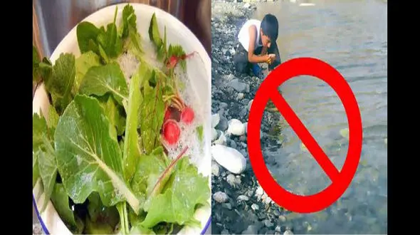 هشدار درباره شایع‌ترین بیماری عفونی در تابستان / بهترین روش شستن سبزیجات +اینفوگرافی