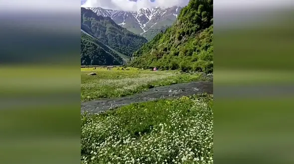زیبایی‌های دریاسر را ببینیم + فیلم 