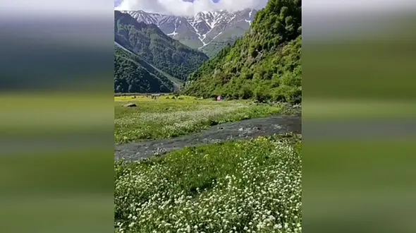 زیبایی‌های دریاسر را ببینیم + فیلم 