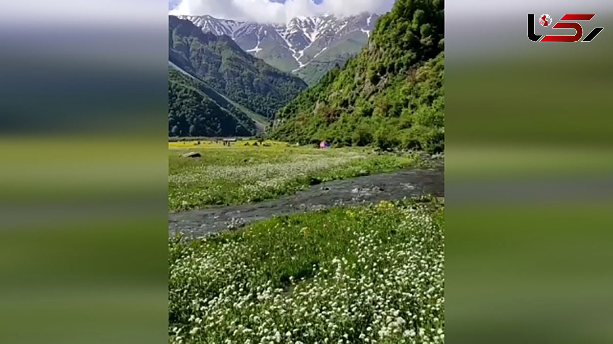 زیبایی‌های دریاسر را ببینیم + فیلم 