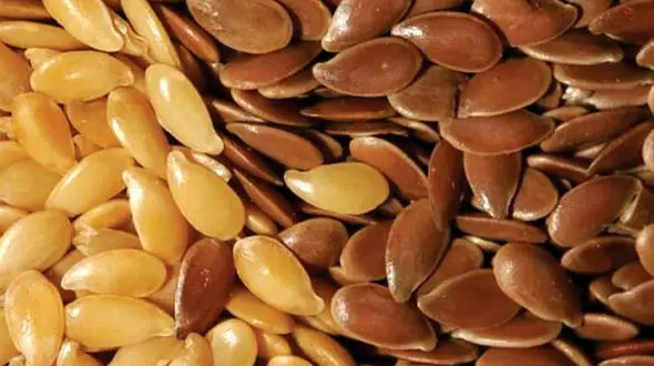 ترکیب 7 دانه که شما را از ناشتا تا شام سیر و قوی نگه می دارد 