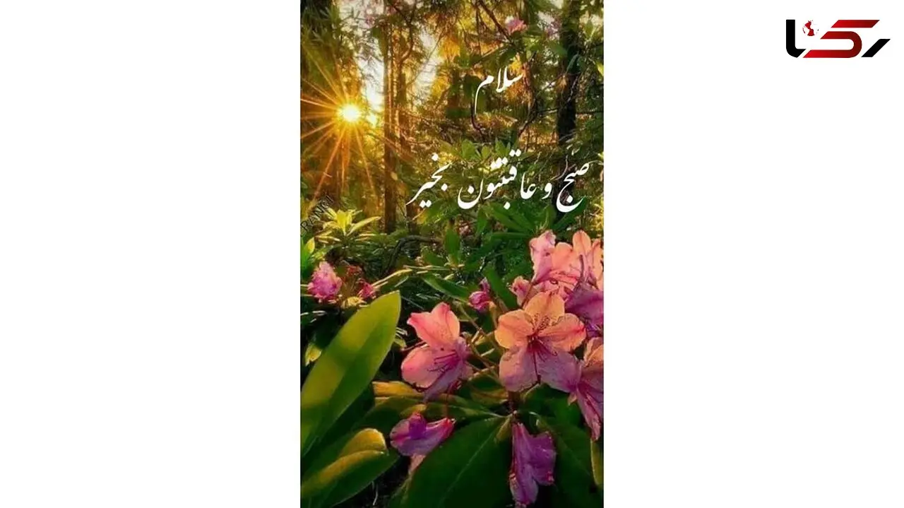 فال ابجد امروز / 22 آذر + فیلم