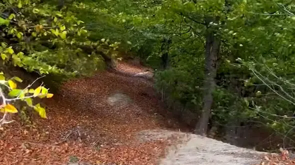 از اولین باران پاییزی در بانه تا هوای بهشتی رامسر