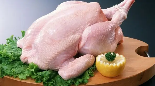 خرید مرغ سالم و بهداشتی با 10 توصیه طلایی