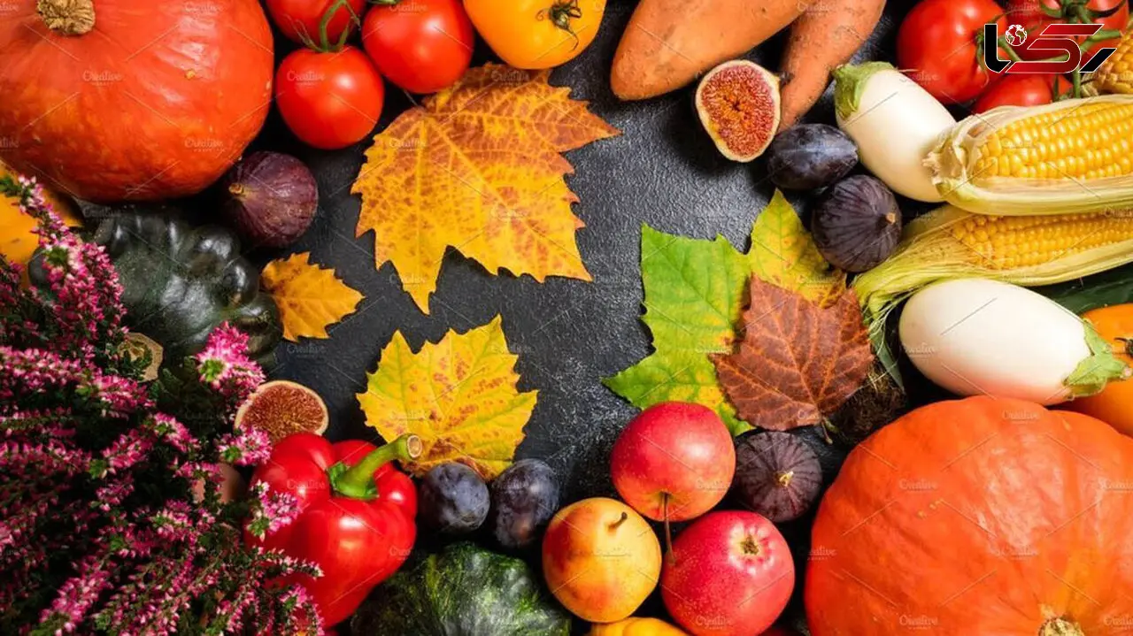 انگلیسی میوه های پاییزی و تابستانی / فیلم