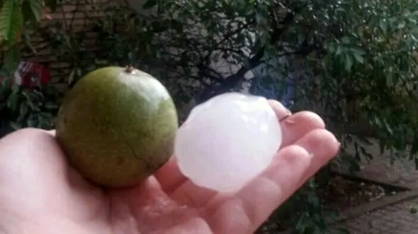 بارش تگرگ به اندازه گردو و سیب‌زمینی‌ در اهر + تصاویر‌