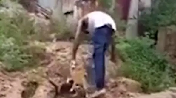 فیلم تنبیه وحشیانه یک سگ توسط صاحبش! 