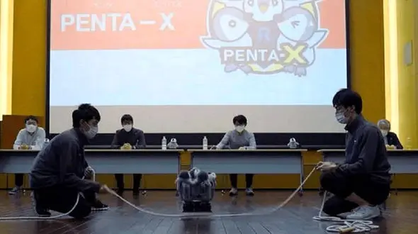 این پنگوئن در گینس ثبت شد + فیلم