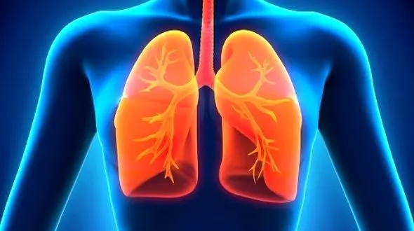 عامل اصلی عفونت ریه کشف شد