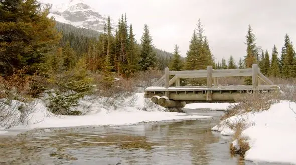 ریلکس کنید / نماهنگ بی کلام آرامش بخش به همراه تصاویر دلنشین + فیلم 