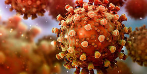 تهدید جدید برای بهداشت جهانی/ ویروس مهاجم «نیپا» در لیست «عوامل بیماری‌زا با پتانسیل شیوع همه‌گیری» قرار گرفت