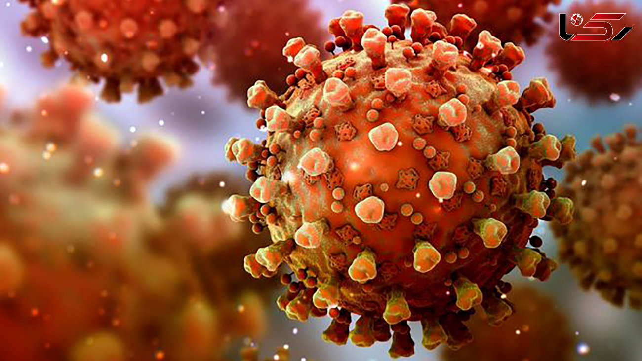 تهدید جدید برای بهداشت جهانی/ ویروس مهاجم «نیپا» در لیست «عوامل بیماری‌زا با پتانسیل شیوع همه‌گیری» قرار گرفت