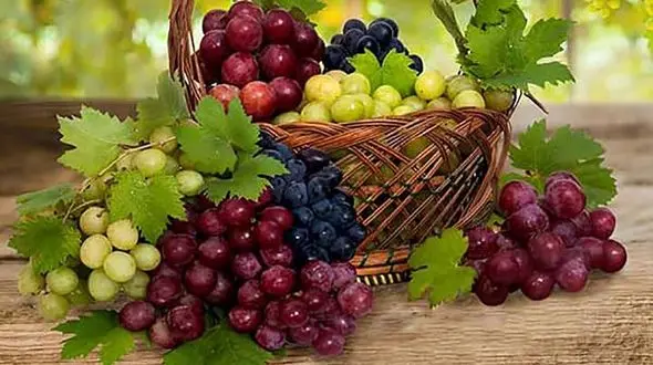 اگر گوشتخوارید انگور بخورید