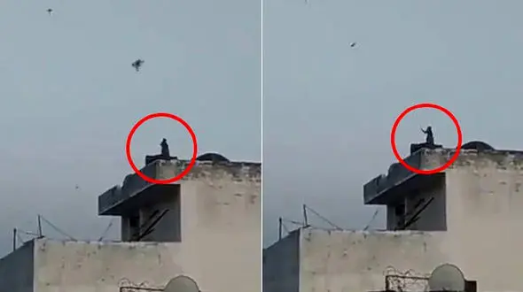 بادکنک بازی یک میمون در پشت بام خانه ای در هند + فیلم