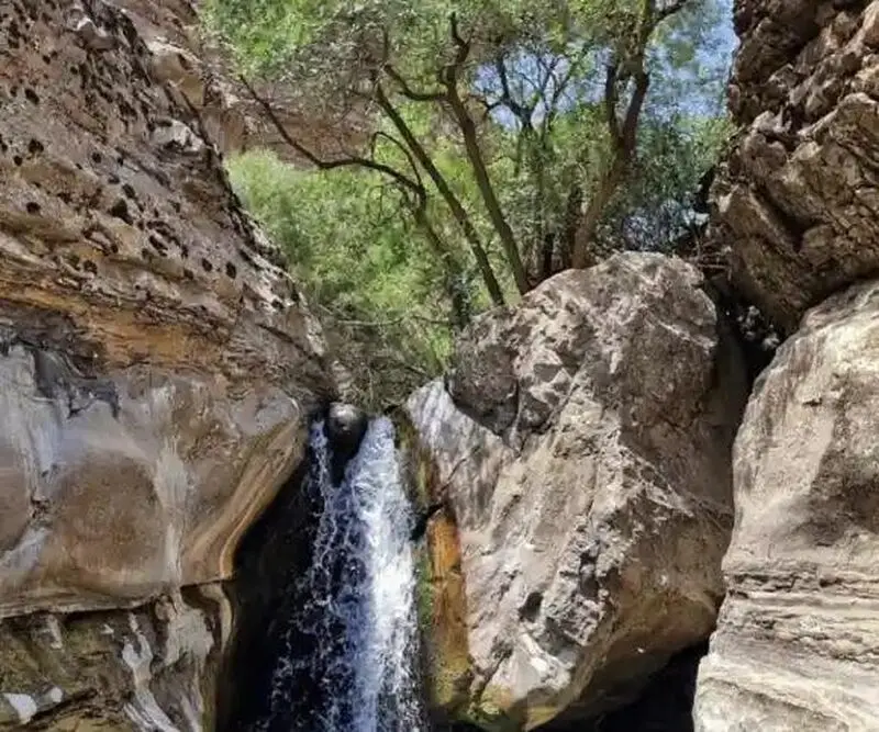 عکس چال_ماهی