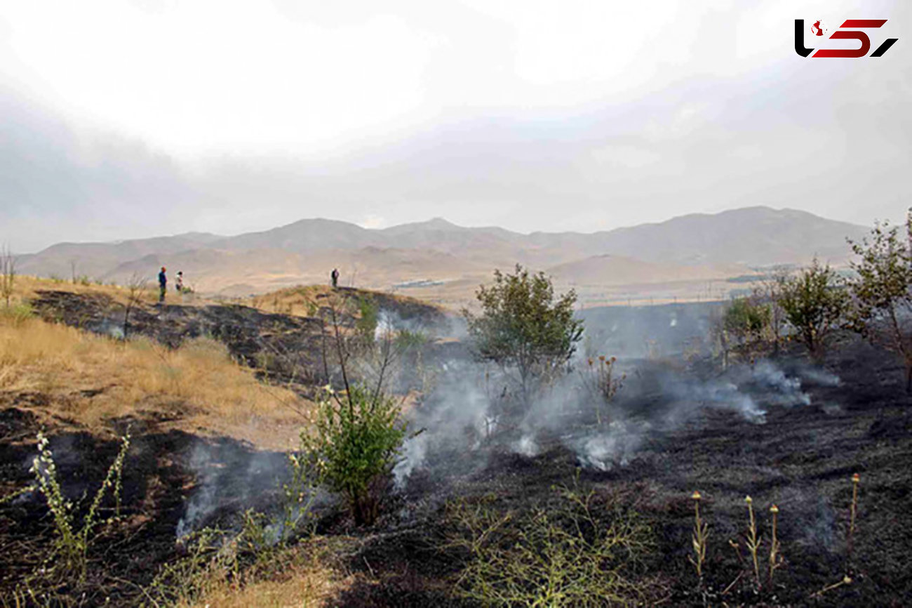 آتش سوزی مراتع روستای چمرود مهار شد