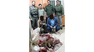 عاملان شکار سه میش وحشی در دماوند دستگیر شدند 