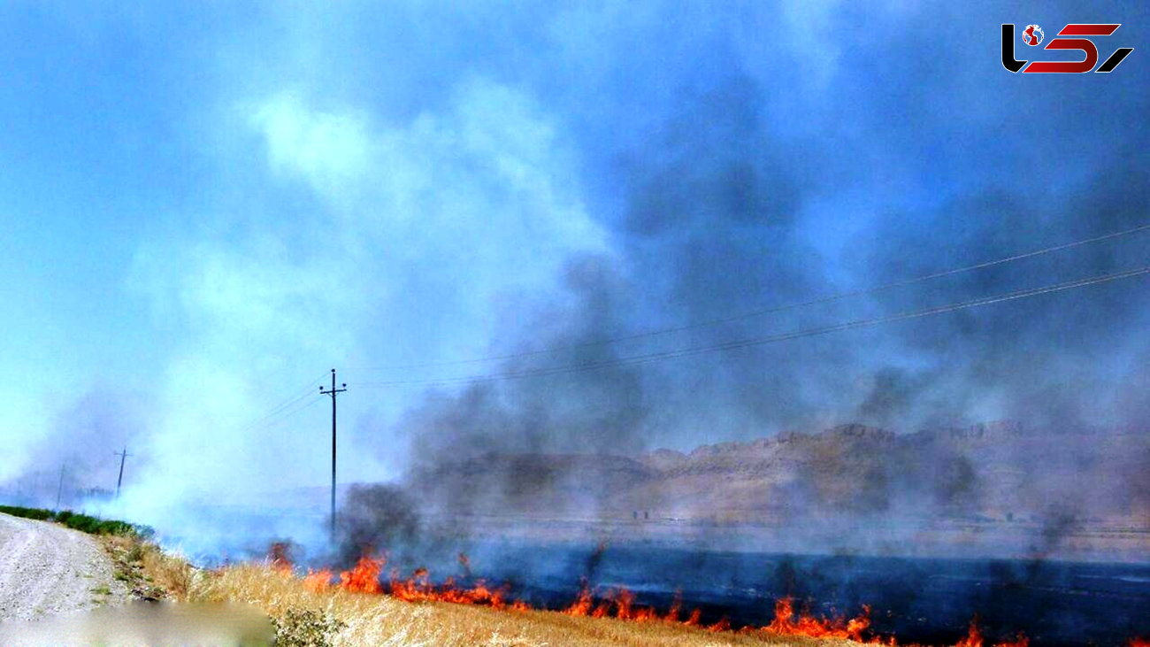 آتش سوزی در جنگل های باشت ایران / حادثه وحشتناک برای همیار محیط بان