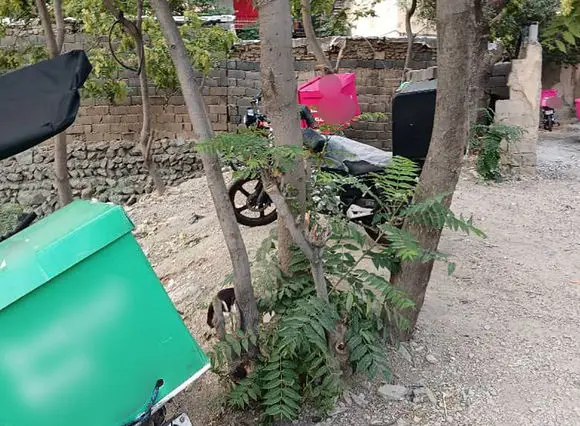 این محله‌ تهران به تصرف پیک‌های موتوری ها در آمده است / خانه ها اکثرا فاقد ایمنی است + فیلم