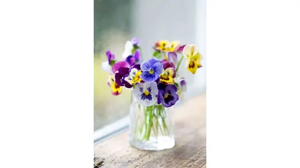 فال روزانه شخصی/ 14 مرداد ماه + فیلم