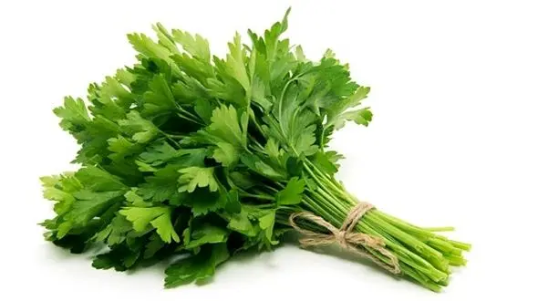 دموی مزاج ها بخوانند