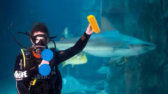 تصاویری زیبا از آکواریوم لندن