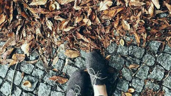 ترکیب رنگ‌های پاییزی برای  لباس‌ 