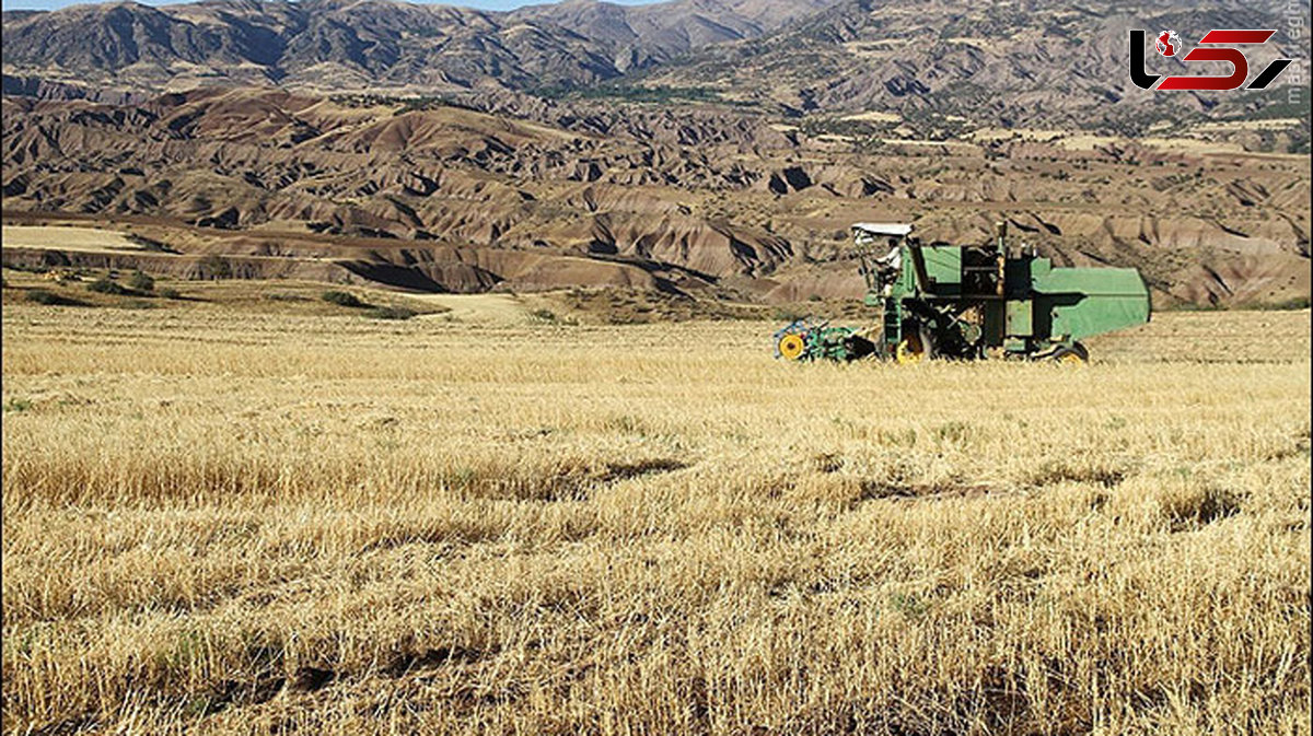 ایران جزو ۵ کشور دارای بیشترین آبیاری با فاضلاب