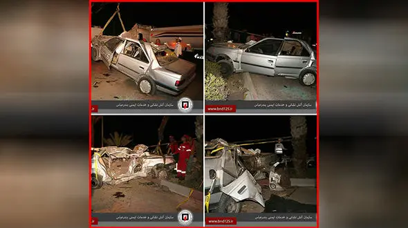 درخت نخل قاتل 2 نفر در بندرعباس شد+ عکس