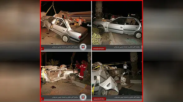 درخت نخل قاتل 2 نفر در بندرعباس شد+ عکس
