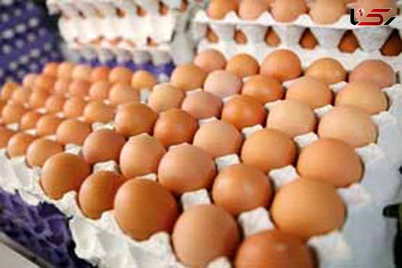 قیمت تخم مرغ بسته بندی در بازار چقدر است؟